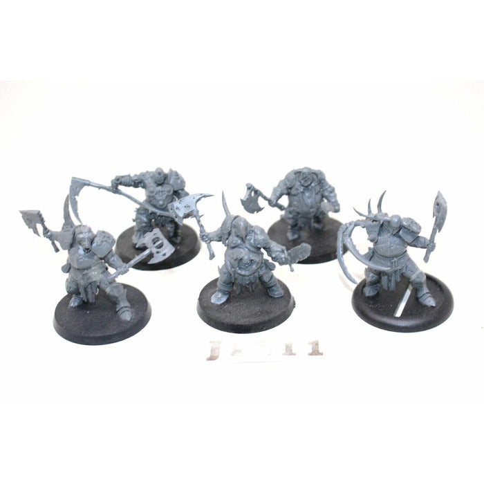 Warhammer Warriros Of Chaos Putrid Blightkings - JYS11 - Tistaminis