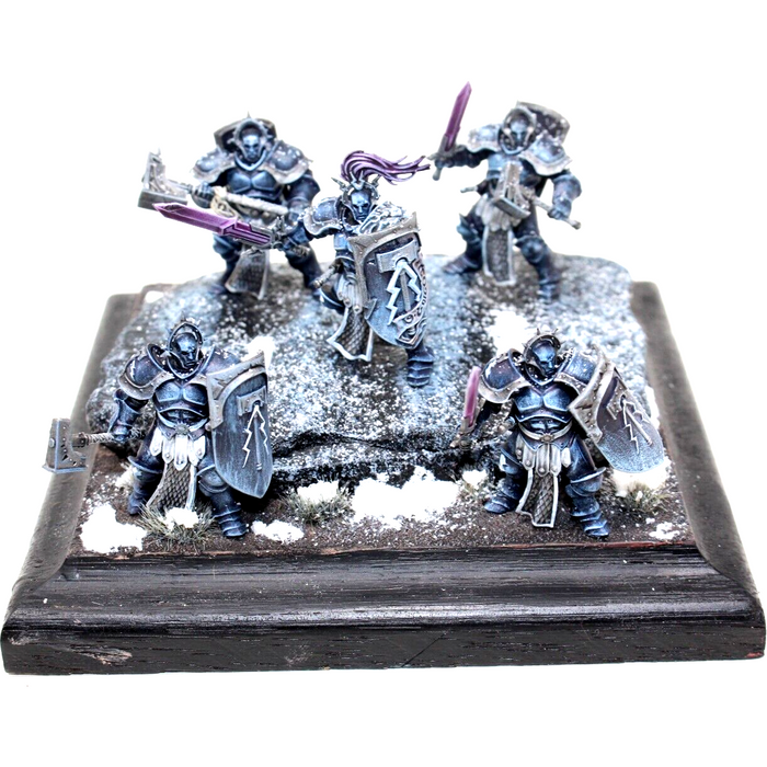 Warhammer Stormcast Eternals Liberators Well Painted - BG6 - Tistaminis