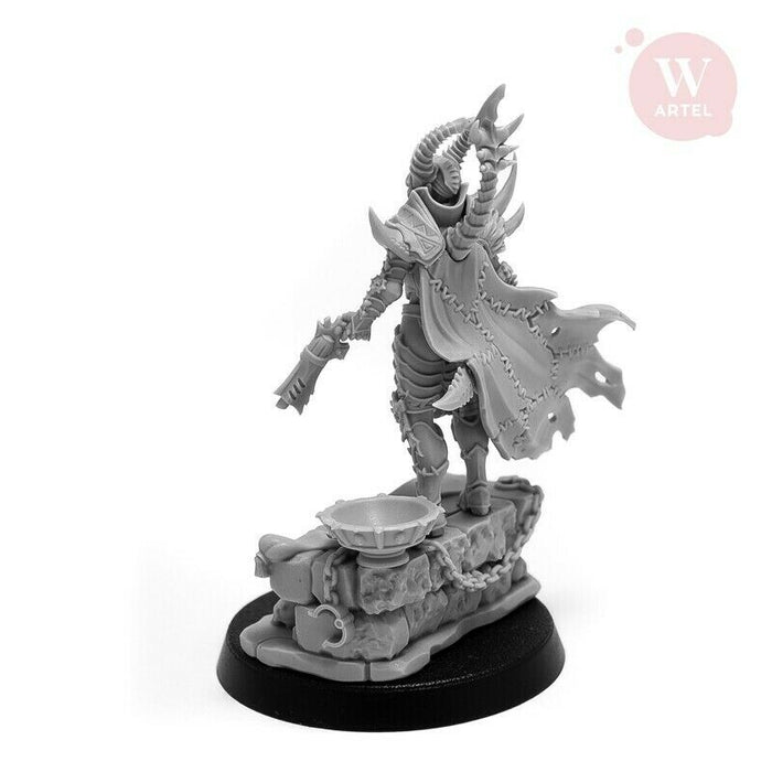 Artel Miniatures - Raidmaster 28mm (Single Figure - No Slaves) New - TISTA MINIS