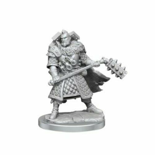 Dungeons and Dragons	Frameworks: Human Fighter Male New - Tistaminis