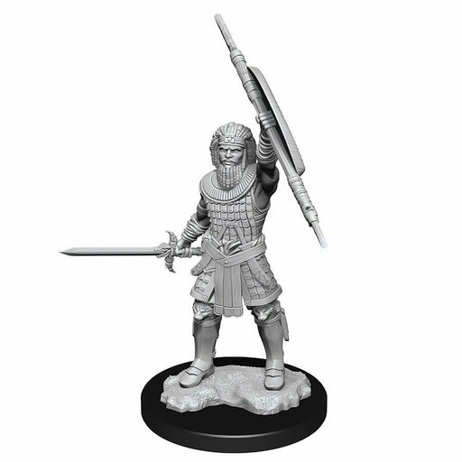 D&D Nolzur's Marvelous Unpainted Miniatures: Wave 13: Human Fighter Male New - TISTA MINIS