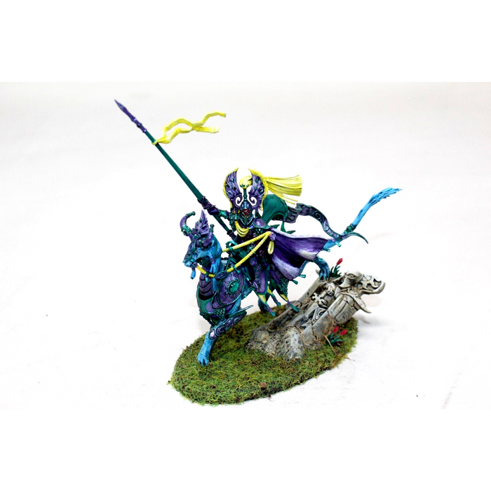 Warhammer High Elves Vanari Lord Regent Well Painted - JYS57 - Tistaminis