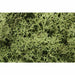 Woodland Scenics Lichen-Spring Grn WOO161 - TISTA MINIS