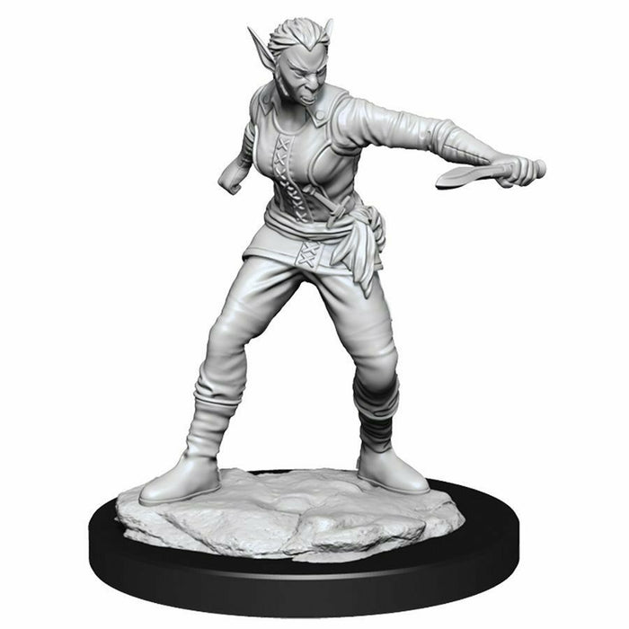 D&D Nolzur's Marvelous Unpainted Miniatures: Wave 13: Shifter Rogue Female New - TISTA MINIS