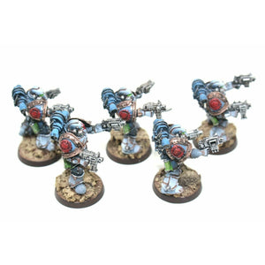 Warhammer Chaos Space Marines Sternguard Veterans Well Painted - JYS69 - Tistaminis