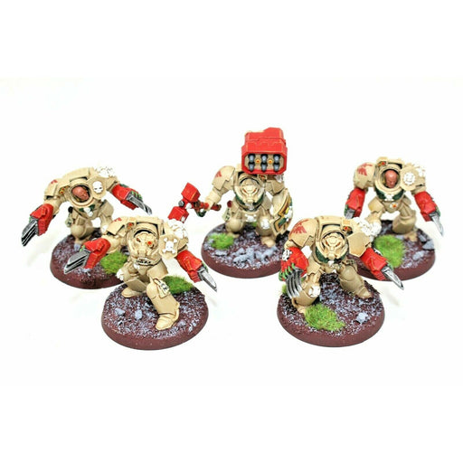 Warhammer Space Marines Dark Angels Assault Terminators Well Painted JYS13 - Tistaminis