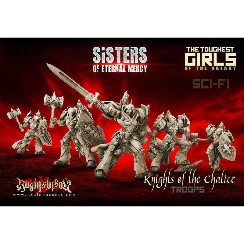 Raging Heroes Sisters of Eternal Mercy: Knights of the Chalice Troopers New - TISTA MINIS