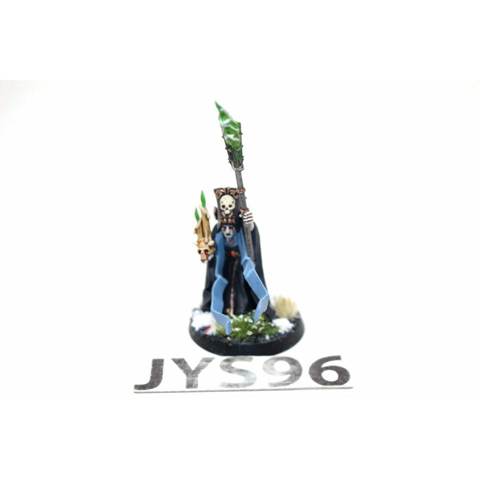 Warhammer Empire Mage Well Painted - JYS13 - Tistaminis