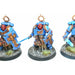 Warhammer Space Marines Bladeguard Veterans Well Painted - TISTA MINIS