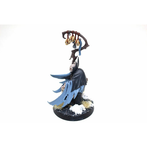 Warhammer Vampire Counts Necromancer Well Painted - Blue1 - Tistaminis