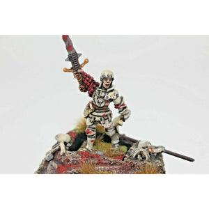 Warhammer Empire General on Foot Well Painted - JYS97 | TISTAMINIS