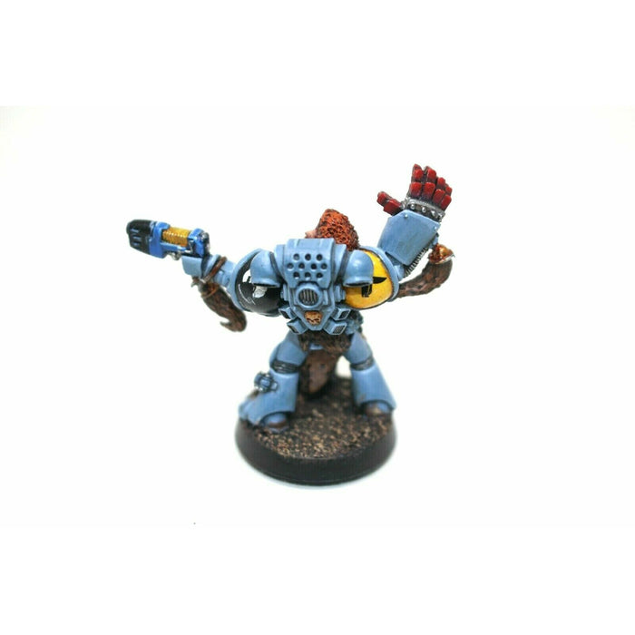 Warhammer Space Marines Space Wolves Captain Metal Well Painted A26 - Tistaminis