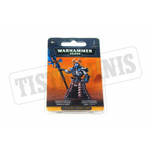 Warhammer Necron Anrakyr the Traveller New - TISTA MINIS