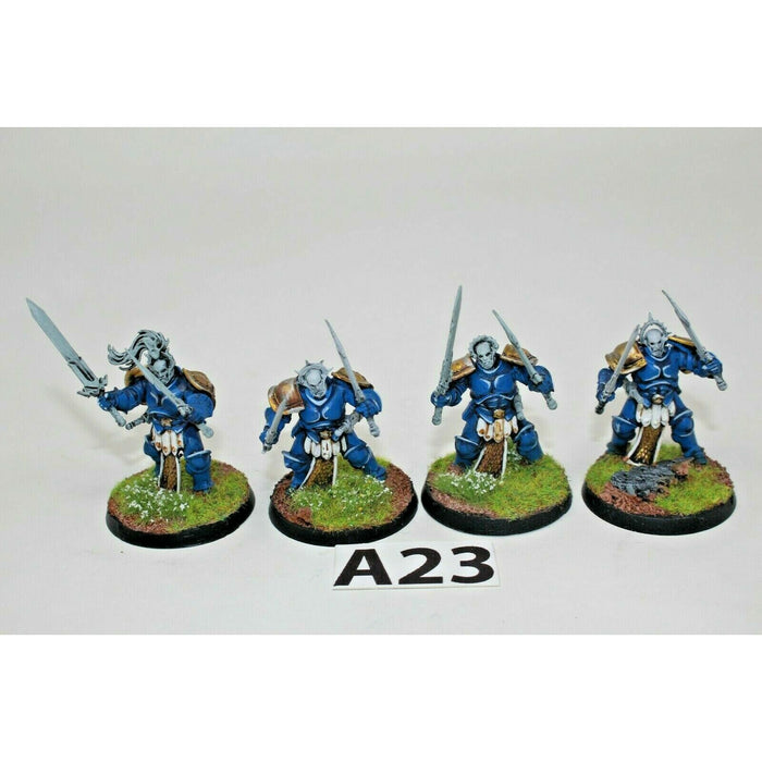 Warhammer Stormcast Eternals Liberators Two Swords Well Painted - A23 | TISTAMINIS