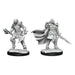 Dungeons and Dragons	Nolzur's Marvelous Miniatures: Wave 15: Dragonborn Fighter - Tistaminis