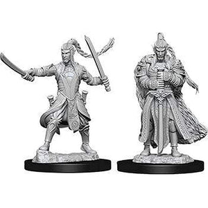 Dungeons and Dragons Nolzurs Marvelous Wave 9: Elf Male Paladin - Tistaminis
