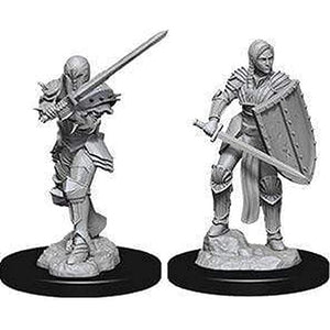 Dungeons and Dragons Nolzurs Marvelous Wave 9: Human Female Fighter New - Tistaminis