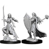 Dungeons and Dragons Nolzurs Marvelous Wave 9: Elf Female Paladin - Tistaminis