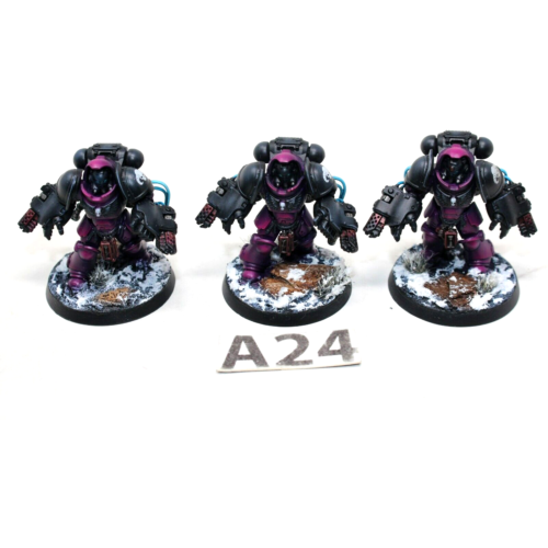 Warhammer Space Marines Agressors With Flamers Well painted - A24 - Tistaminis