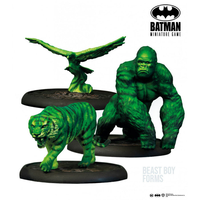 Batman Miniature Game: Teen Titans New - Tistaminis