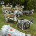 Kings of War Elf War Chariot Regiment New - Tistaminis