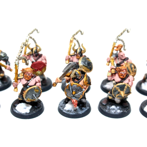 Warhammer Warriors of Chaos Marauders Well Painted - JYS88 - Tistaminis