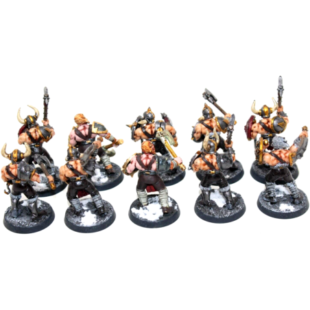 Warhammer Warriors of Chaos Marauders Well Painted - JYS88 - Tistaminis