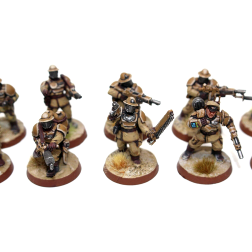 Warhammer Imperial Guard Shock Troops Well Painted - JYS94 - Tistaminis