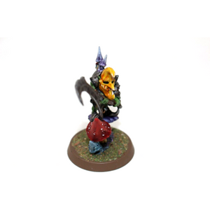 Warhammer Orcs and Goblins Loonboss Well Painted - JYS1 - Tistaminis