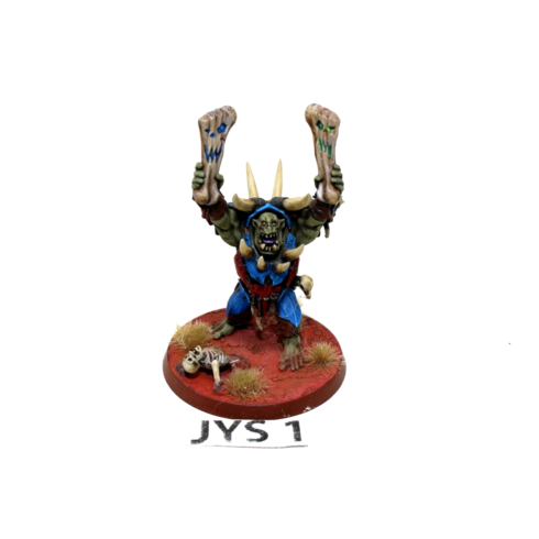 Warhammer Orcs and Goblins Warchanter Well Painted - JYS1 - Tistaminis