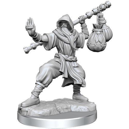 Dungeons and Dragons Frameworks Human Male Monk New - Tistaminis