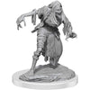 Dungeons and Dragons Nolzur's Marvelous Miniatures: Wave 19: Nosferatu New - Tistaminis