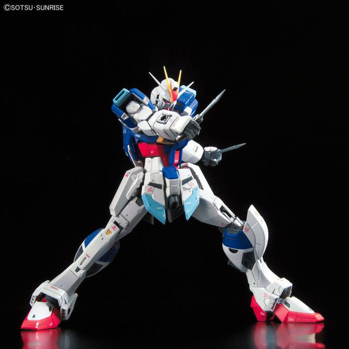 RG 1/144 FORCE IMPULSE GUNDAM New - Tistaminis