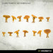 Kromlech	Dark Forest Mushrooms (14) New - Tistaminis