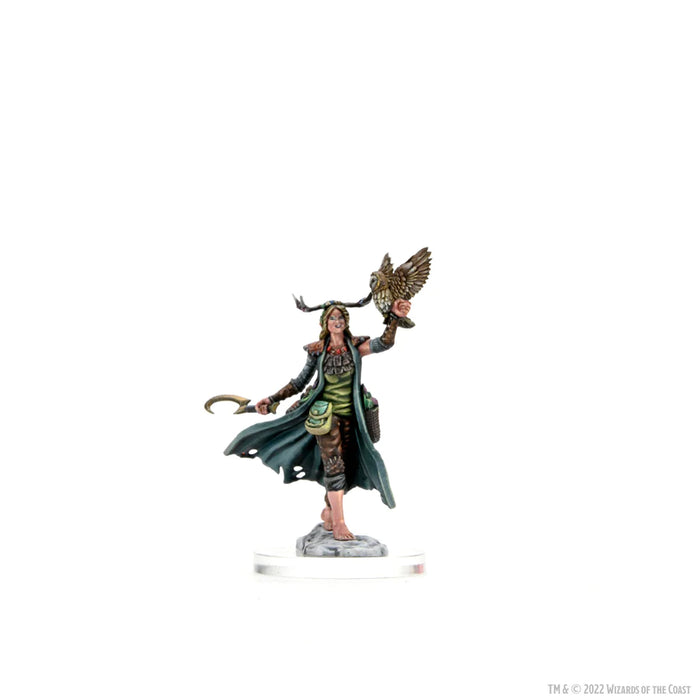 Dungeons and Dragons	Frameworks: Human Druid Female New - Tistaminis