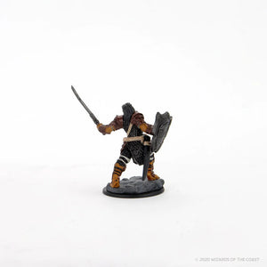 Dungeons & Dragons: Icons of the Realms Premium - Dragonborn Paladin New - Tistaminis