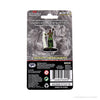 Dungeons & Dragons: Icons of the Realms Premium - Human Female Druid New - Tistaminis