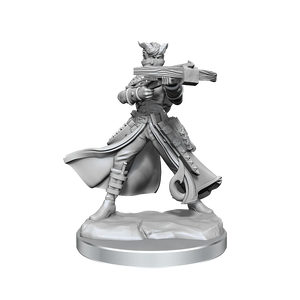 Dungeons and Dragons	Frameworks: Tiefling Rogue Female New - Tistaminis