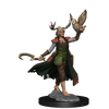 Dungeons and Dragons	Frameworks: Human Druid Female New - Tistaminis