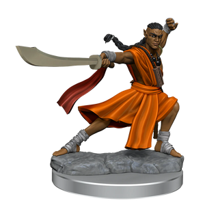 Dungeons and Dragons Frameworks: Elf Monk Male New - Tistaminis