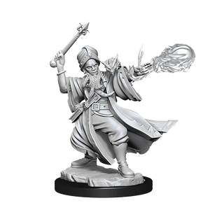 Dungeons and Dragons Frameworks: Human Wizard Male New - Tistaminis