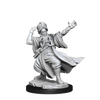 Dungeons and Dragons Frameworks: Human Wizard Male New - Tistaminis