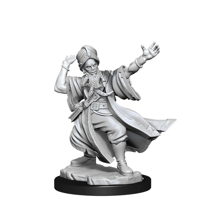 Dungeons and Dragons Frameworks: Human Wizard Male New - Tistaminis