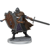 Dungeons and Dragons	Frameworks: Human Fighter Male New - Tistaminis
