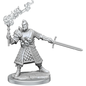 Dungeons and Dragons	Frameworks: Human Fighter Male New - Tistaminis
