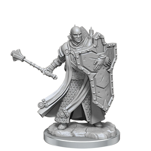 Dungeons and Dragons Frameworks: Human Cleric Male New - Tistaminis